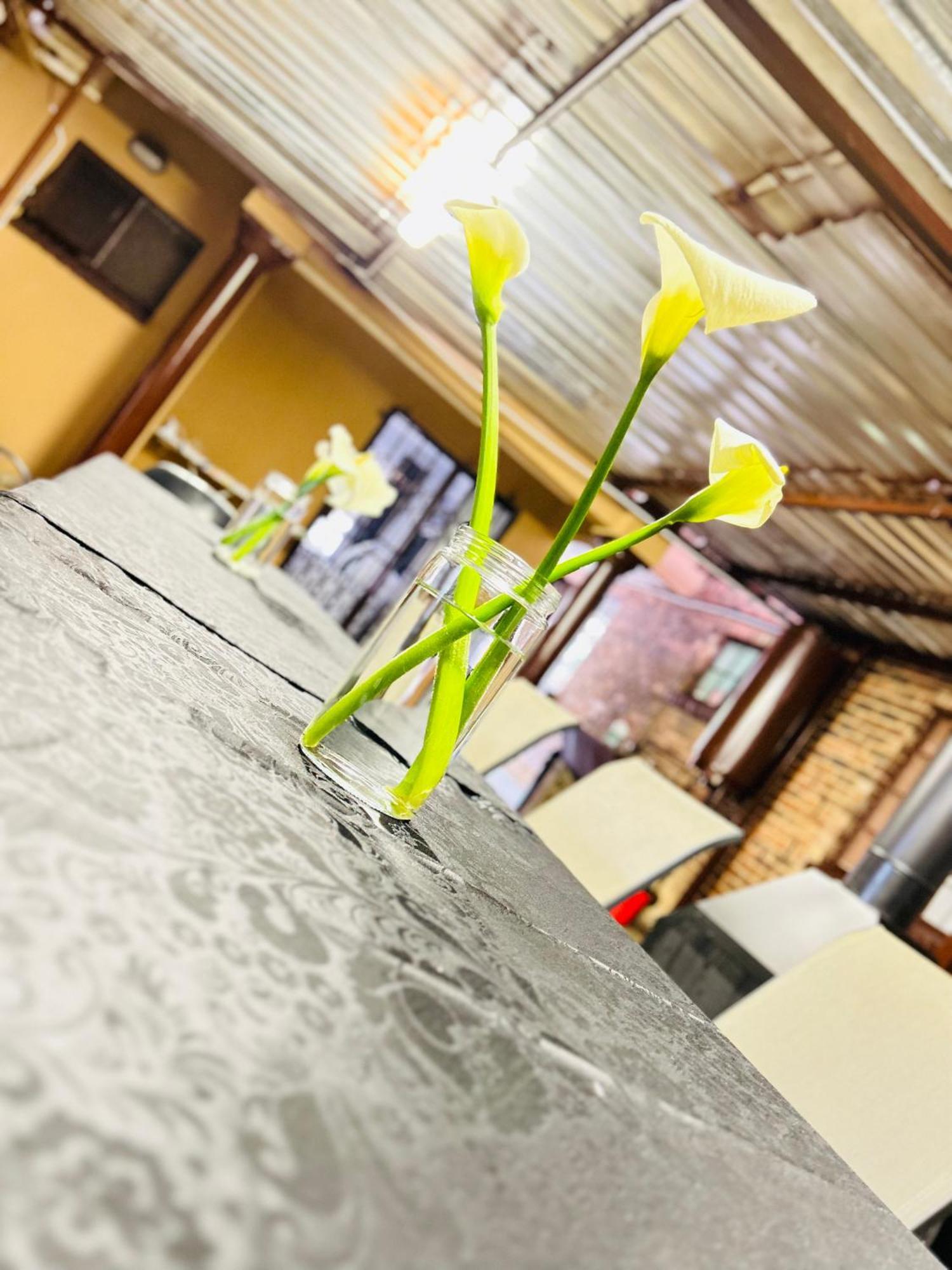 Duvha Guesthouse Граскоп Екстериор снимка